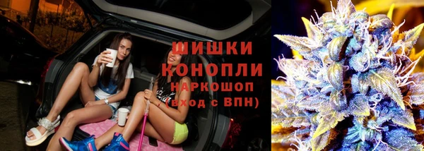 индика Баксан