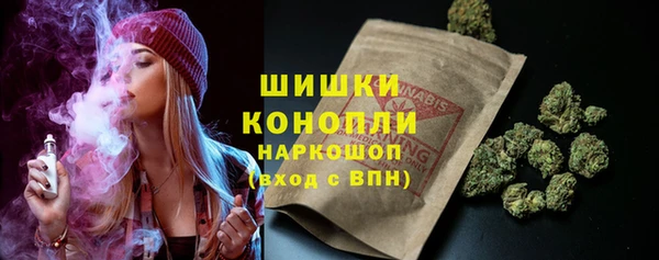 индика Баксан