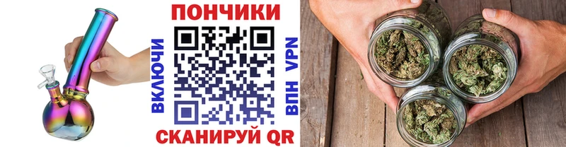 Канабис план  Чкаловск 